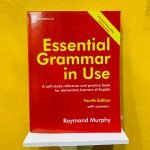 Essential Grammar in Use (Fourth Edition)